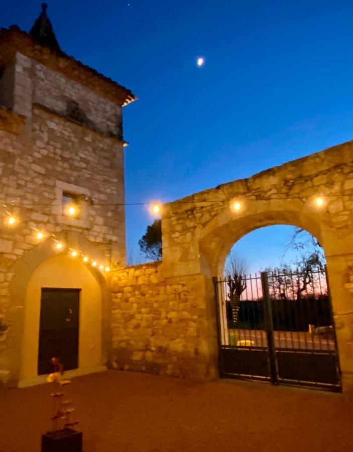 Domaine De Lejos - Portes D'Albi Lamillarie Екстер'єр фото